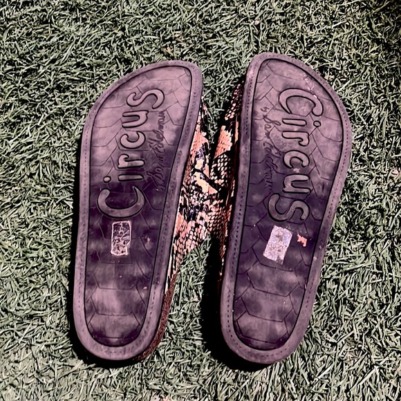 Circus by Sam Edelman Sandals - Picture 2 of 6